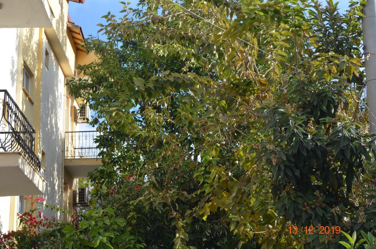 Hotel Uygar Fethiye Luaran gambar